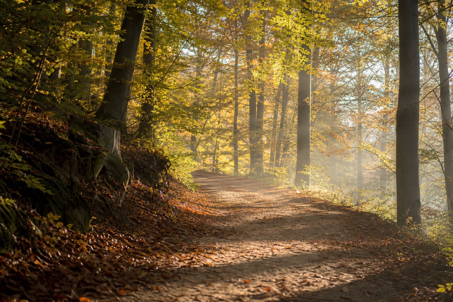 Supported Living in England: Rechte und Care